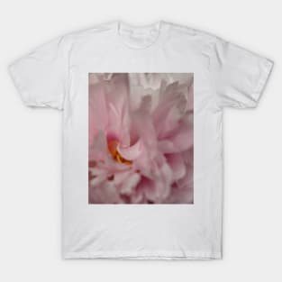 Macro Peony T-Shirt